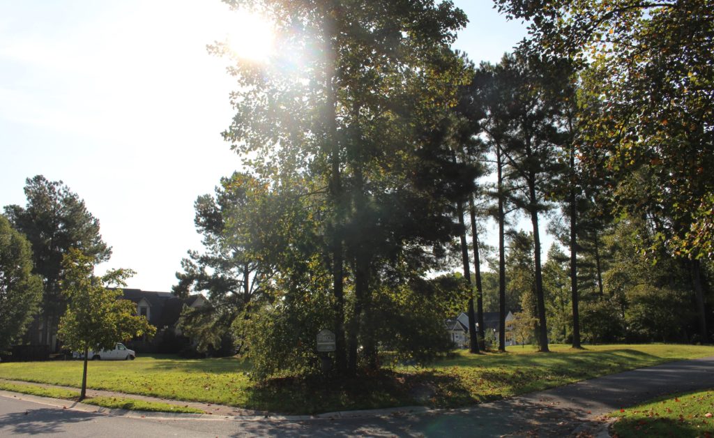 Preserve lots from northwest entrance on Chandler Road