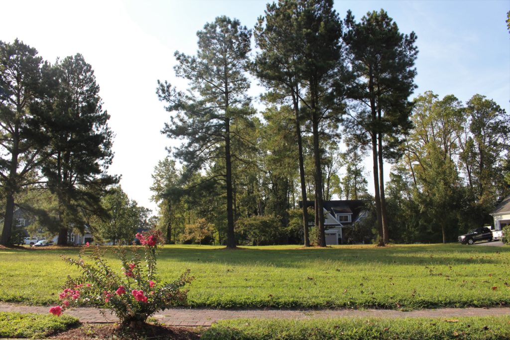 Lots from northeast side along Chandler Road